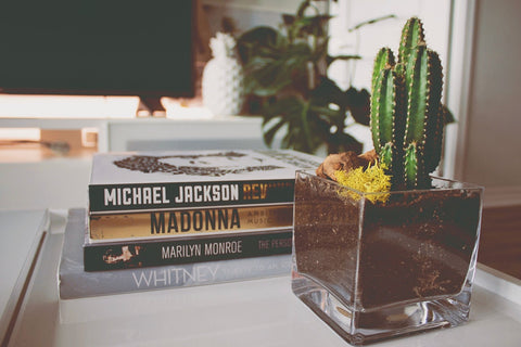 Coffee table and cactus