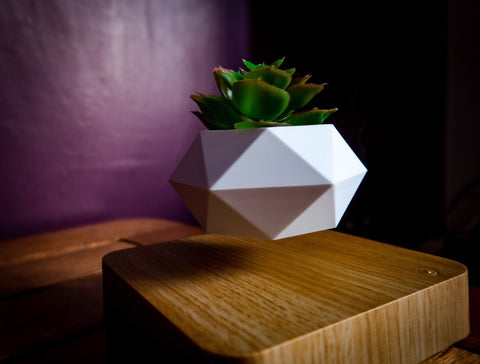 Floately-floating-levitating-plant-pot