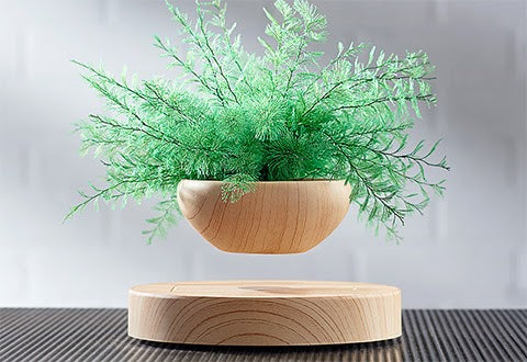 Wood levitating plant