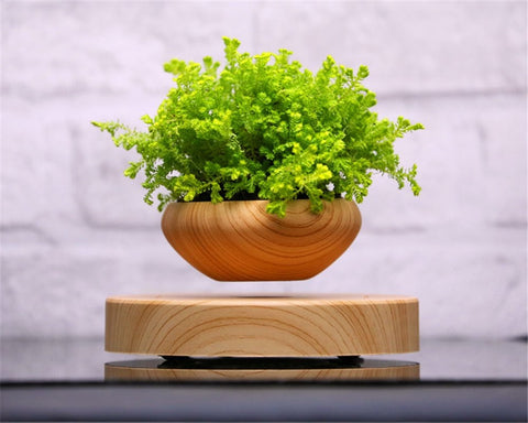 levitating plant pot with green plant