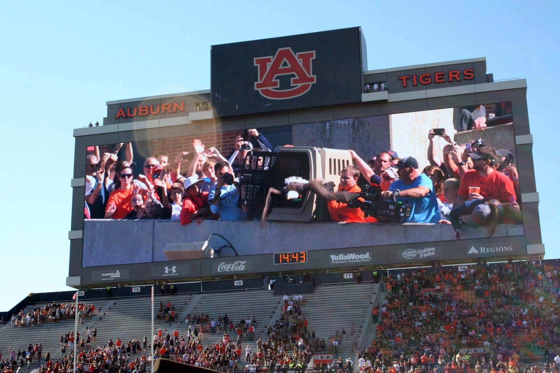 auburn university