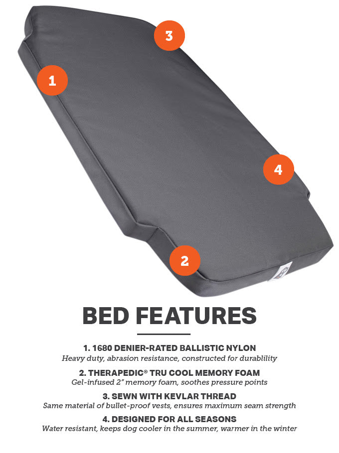 orthopedic bed