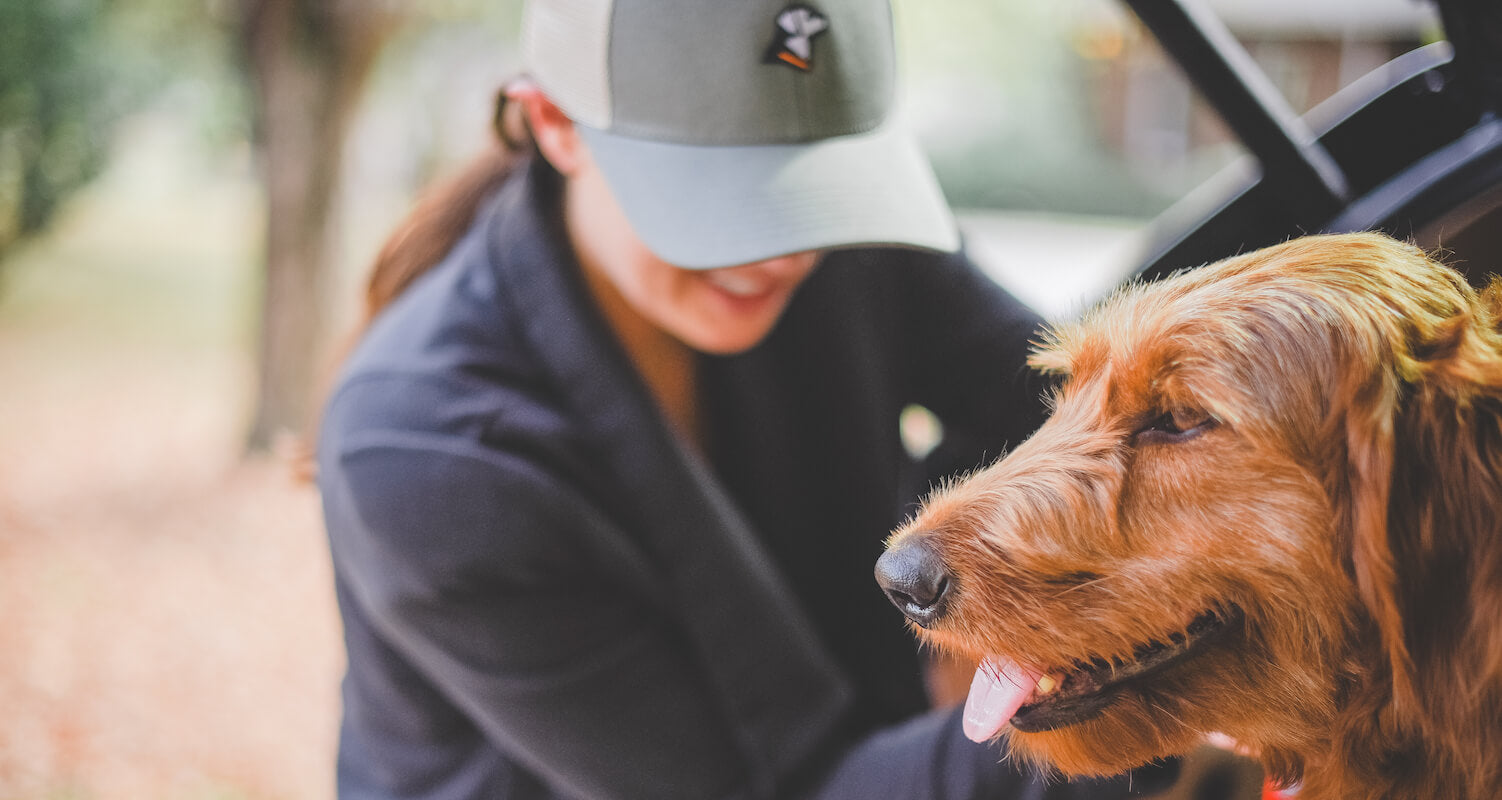 How Pets Affect the Workplace