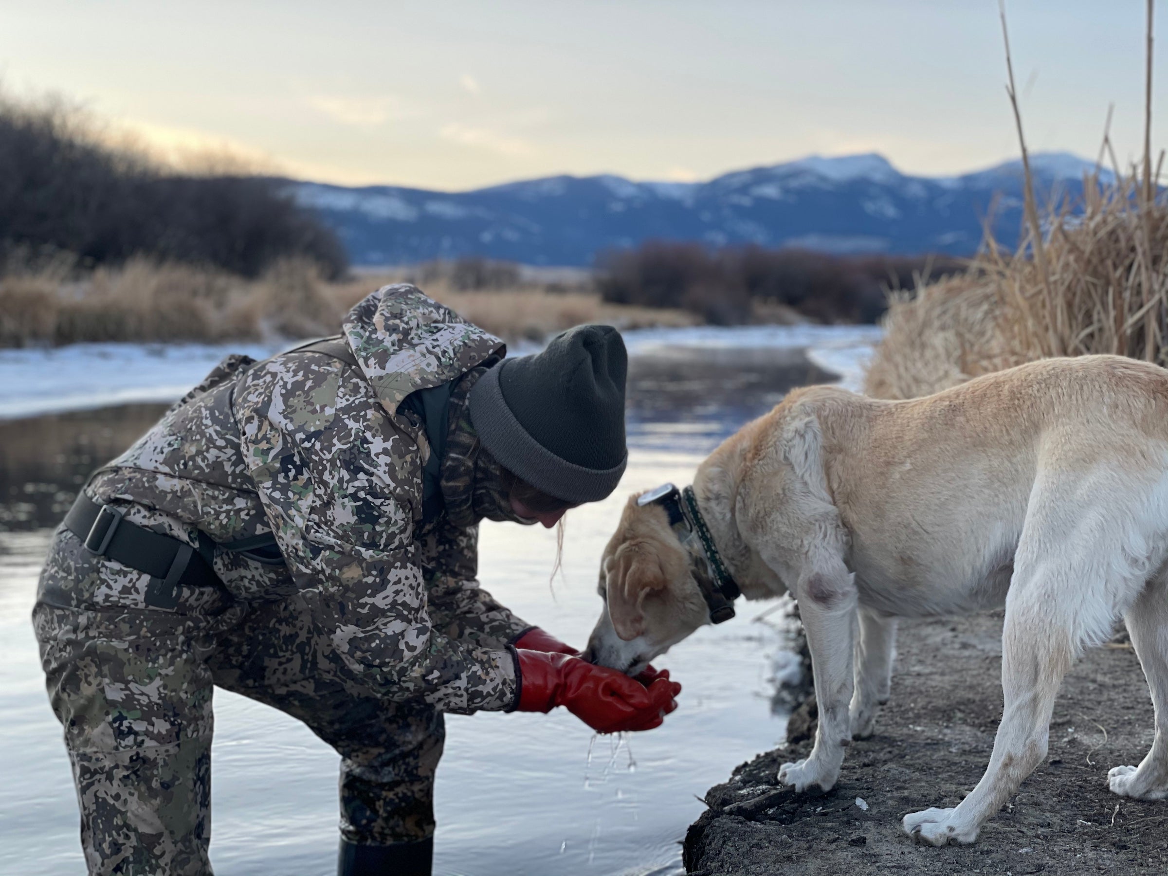 Summer's Story | Stories from the Pack | GUNNER Kennels #GunnerDogs