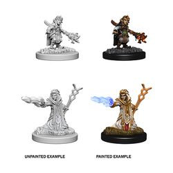 Nolzur's Marvelous Miniatures: Female Gnome Wizard- Unpainted