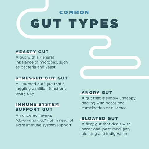 Common gut types