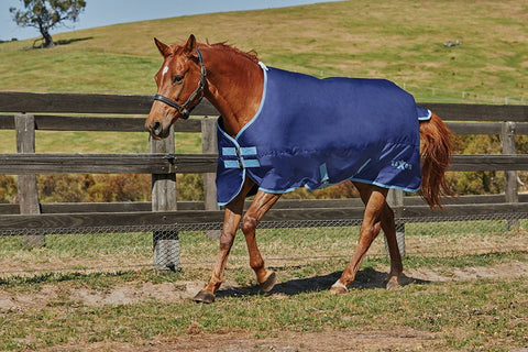 Horse Blanket/Turnout Storage Bag - Grey Chevron - Tough 1 - Personali –  Custom Horse and Hound