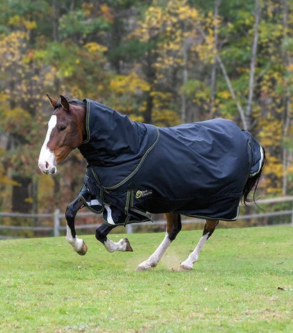 Horse Blanket/Turnout Storage Bag - Grey Chevron - Tough 1 - Personali –  Custom Horse and Hound