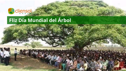 día mundial del árbol 