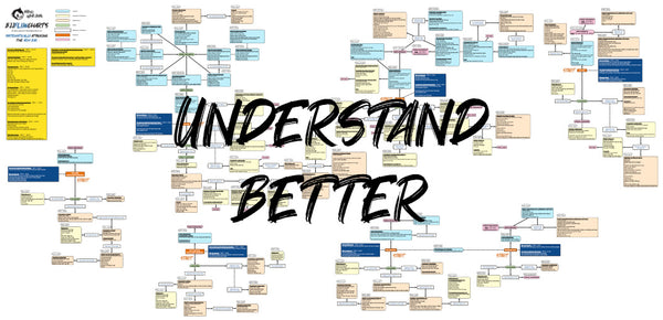 BJJFlowCharts-Flow Chart of Gordon Ryan's Arm Bar Jiu-Jitsu System