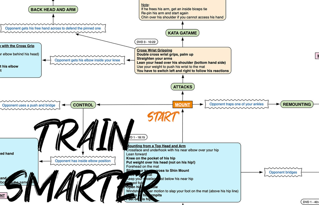 BJJFlowCharts-Flow Chart of Gordon Ryan's Mount Jiu-Jitsu System