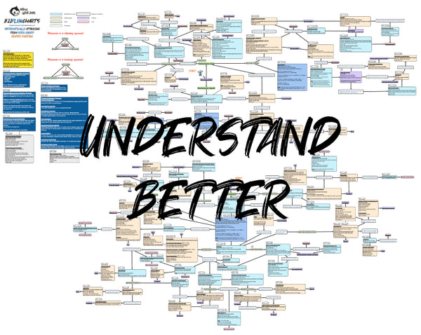 BJJFlowCharts-Flow Chart of Gordon Ryan's Open Guard Seated Jiu-Jitsu System