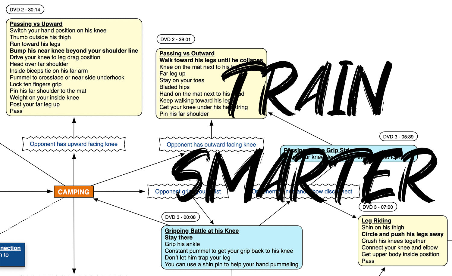 BJJFlowCharts-Flow Chart of Gordon Ryan's Loose Passing Jiu-Jitsu System