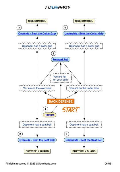 BJJFlowCharts-The Fundamentals Blueprint