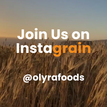 Follow us on Instagrain