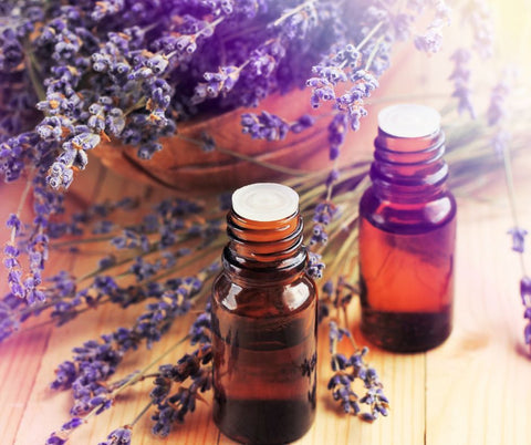 lavender essential oil