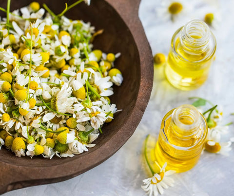 chamomile essential oil