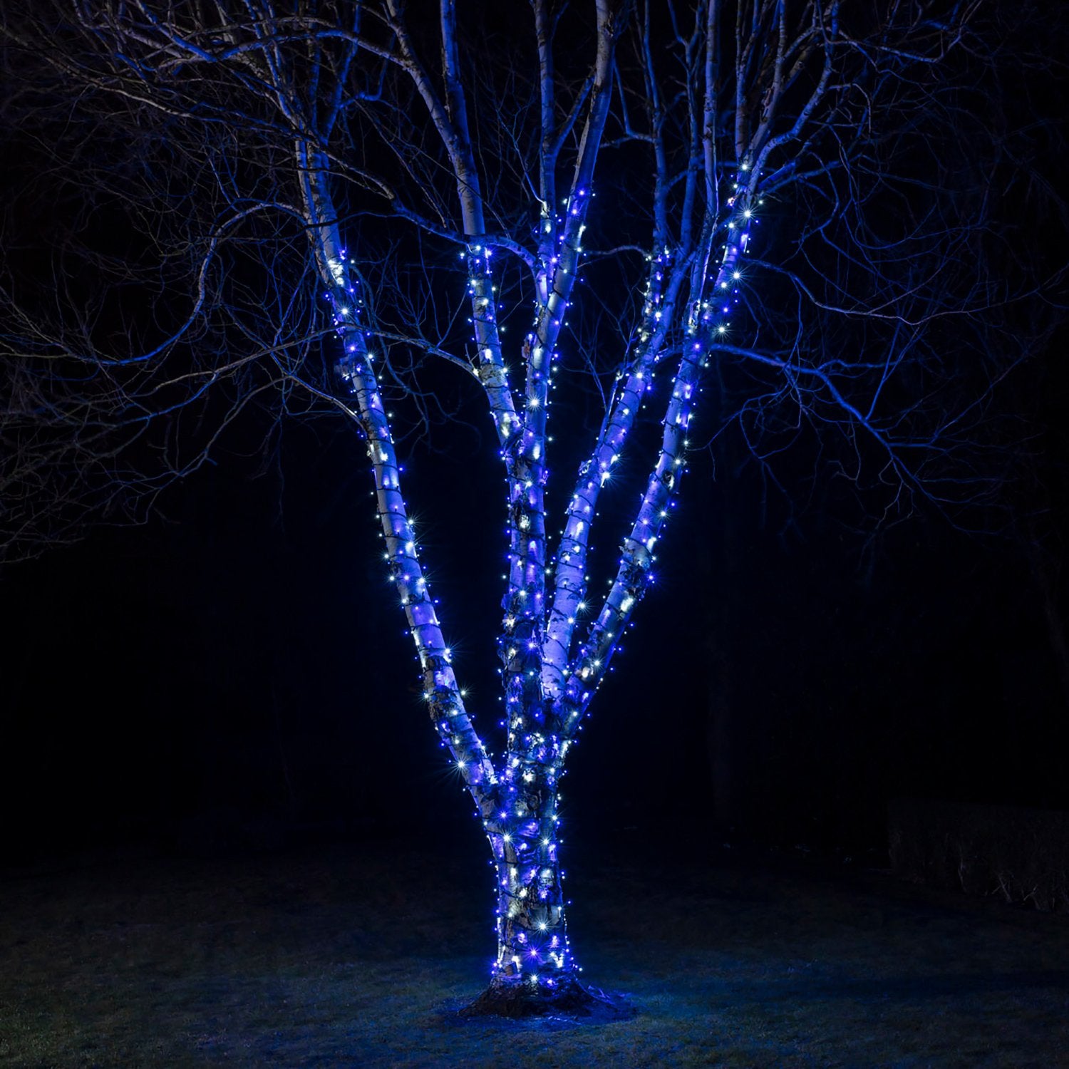 Guirlande Lumineuse Pro Connect 45m 450 LED Bleue et Blanche Câble Noir Raccordable