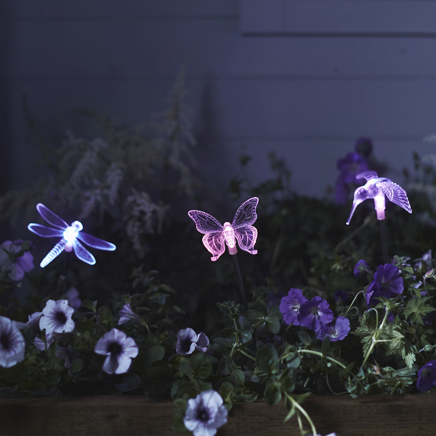 3 Balises Solaires Libellule, Papillon et Colibri à Couleur Changeante