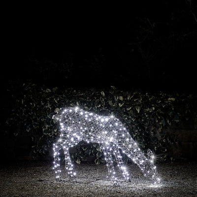 Renne Lumineux avec Traîneau Arkendale à LED Bicolore –