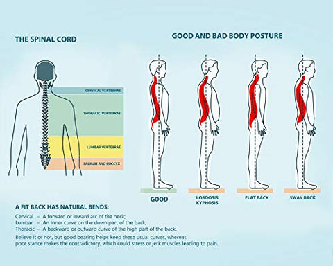 Serious health risks of bad posture and how to prevent them