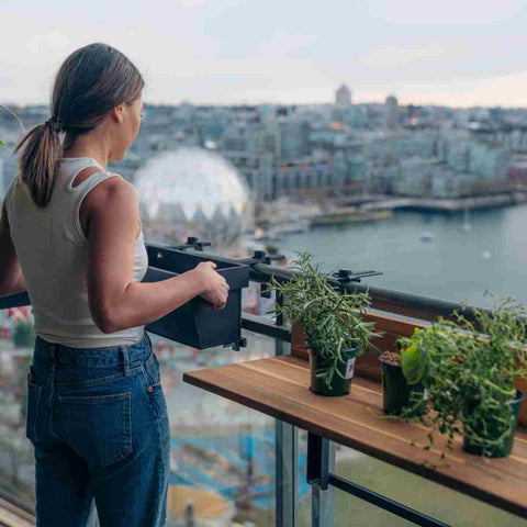 Herbs are great balcony plants