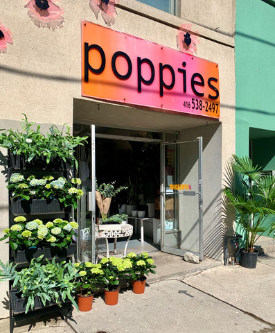 The Poppies Storefront this Spring decked out in hydrangeas