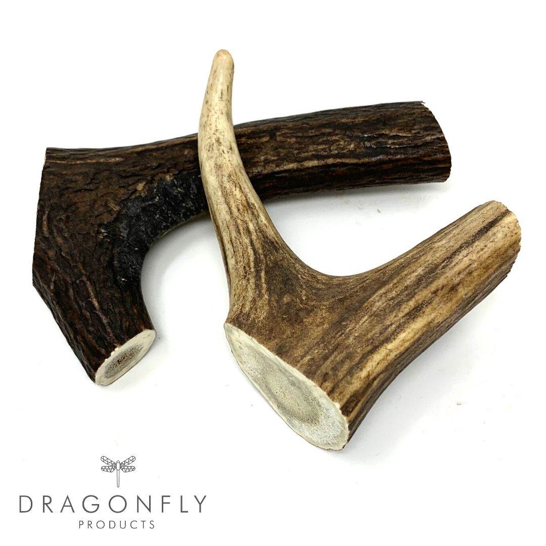 deer antlers vs elk antlers for dogs