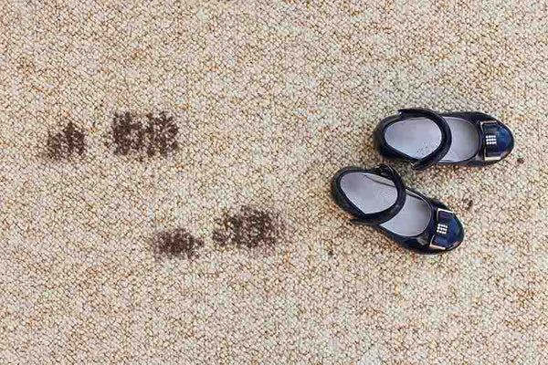 Footwear Carpet
