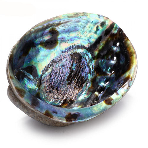 Abalone Shell / Smudging Bowl