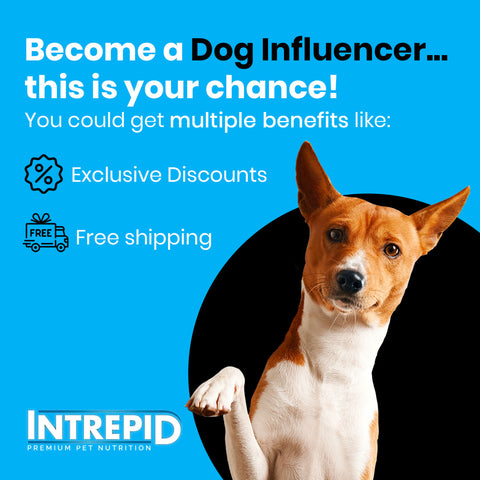 https://intrepidpet.com/pages/dog-influencer-wanted?utm_source=Wishpond&utm_medium=Landing+Page&utm_campaign=Dog+Influencer
