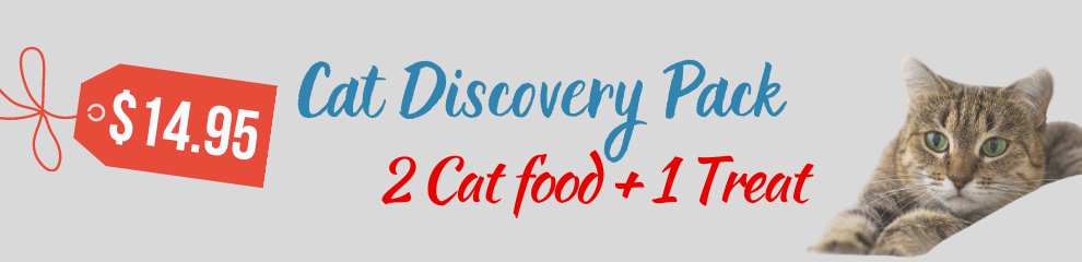 cat discovery pack intrepid pet