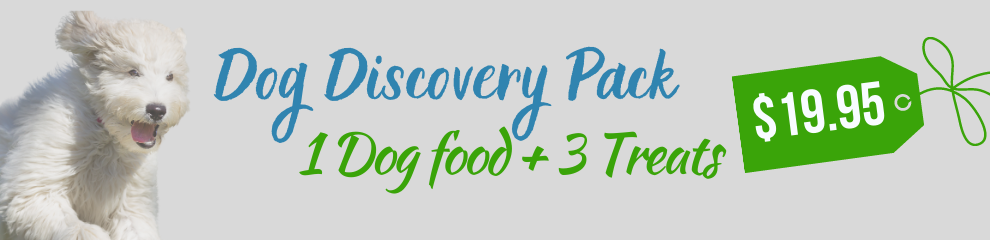 Dog Discovery Pack