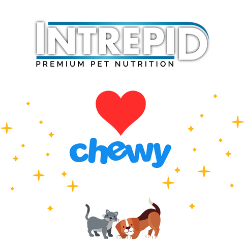 Intrepid Pet Chewy