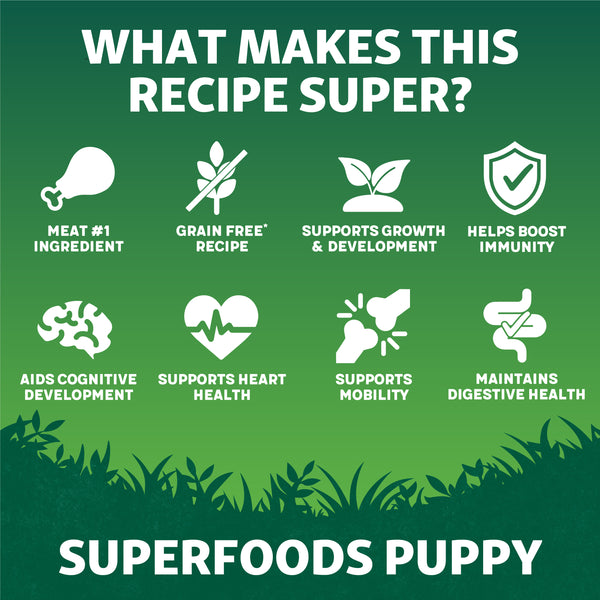 Harringtons Superfoods Puppy Benefits
