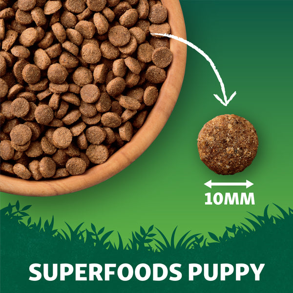 Harringtons Superfoods Puppy Kibble