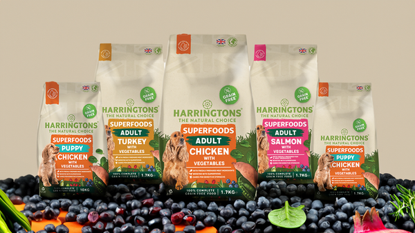 Harringtons Superfoods Grain Free Dry Dog Food