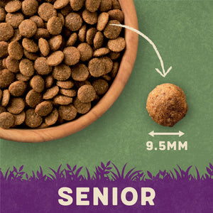 which taste of the wild is best for senior dogs