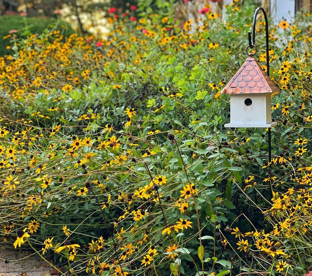 Good Directions bird feeder in garden