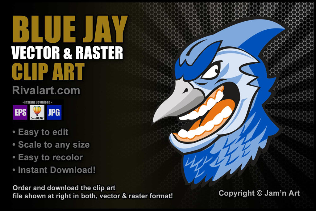 Blue jay Clipart