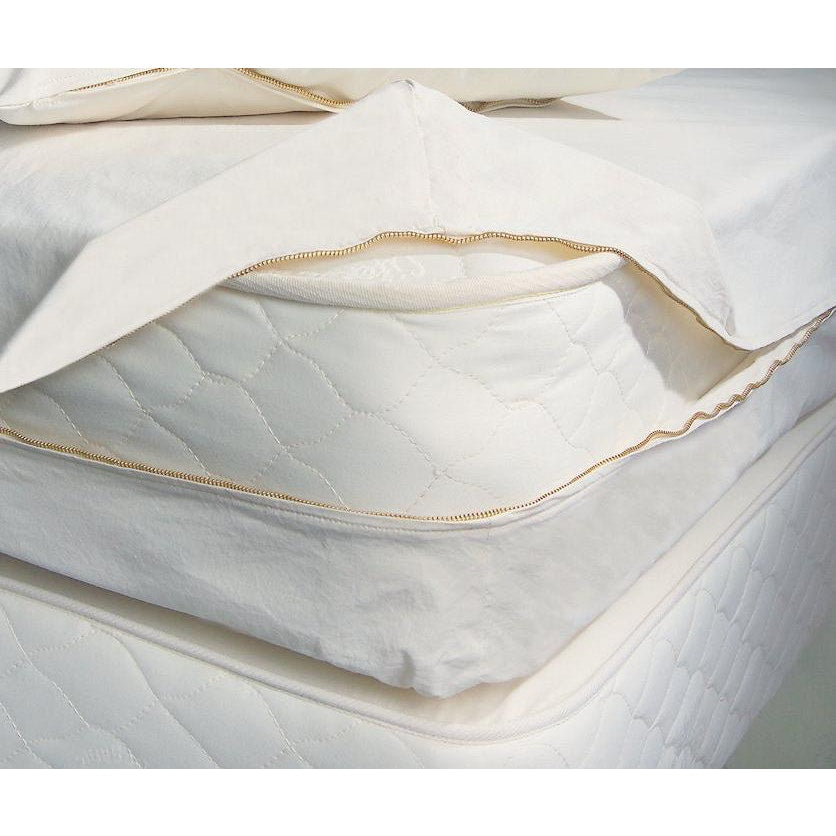 bed bug mattress covers amazon