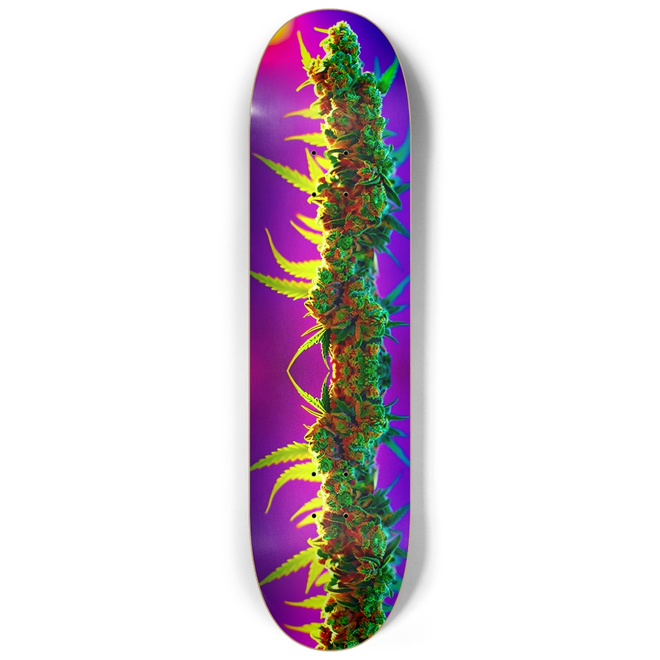 Glow Buds 2 Skateboard
