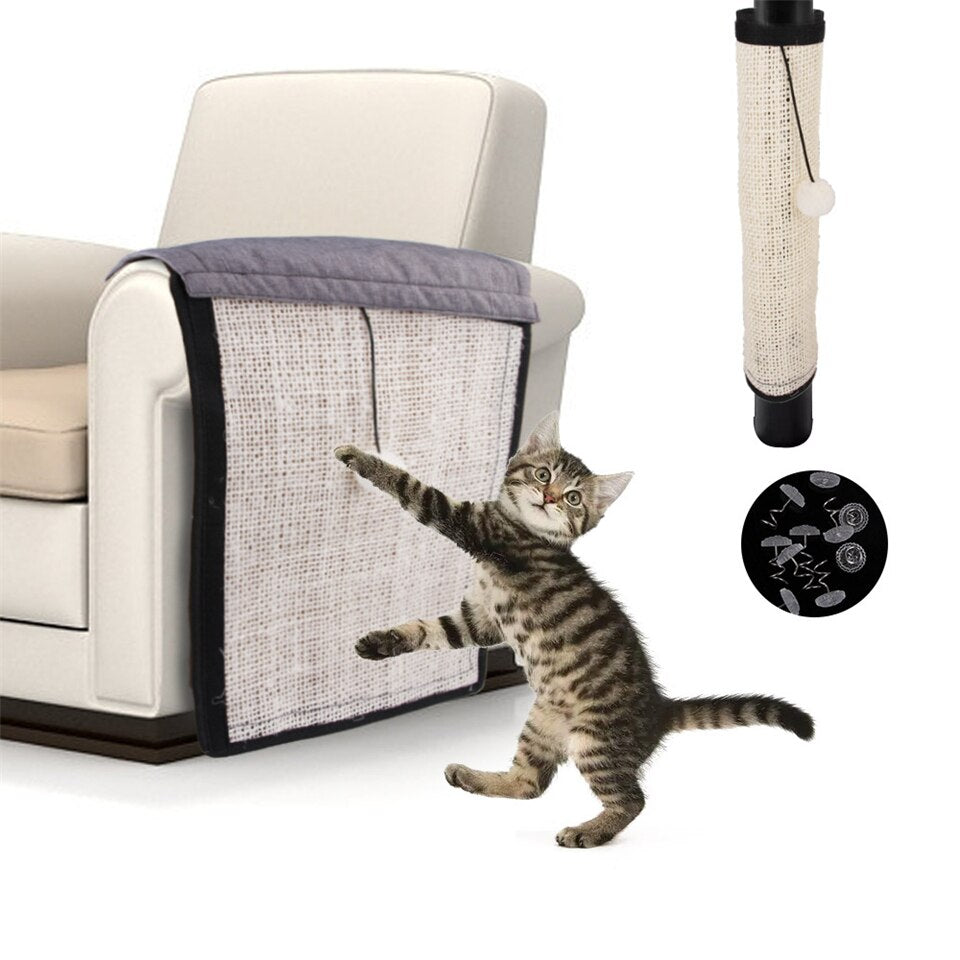 How To Stop Cat Scratching Furniture And Sofa Movetrendy