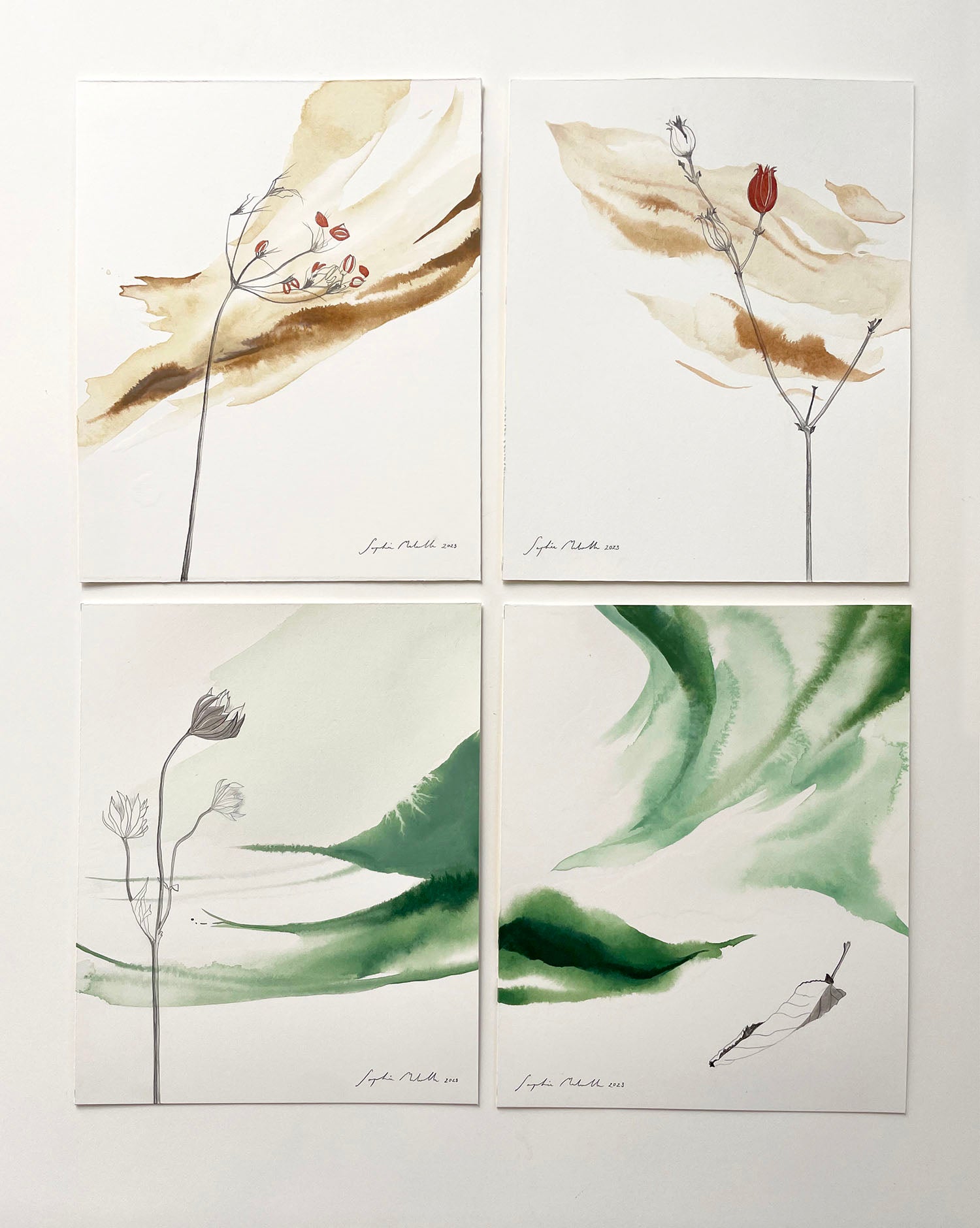 The Flawed collection - a series of small watercolour drawings created from a heartfelt place
