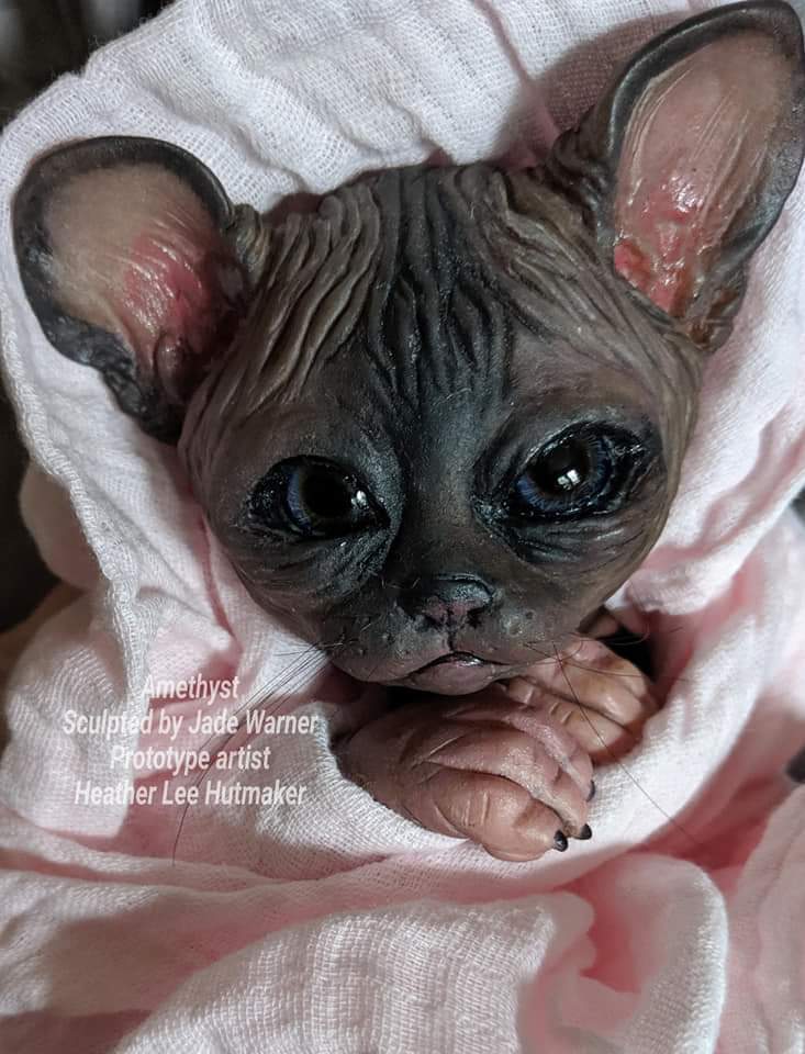 reborn sphynx cat