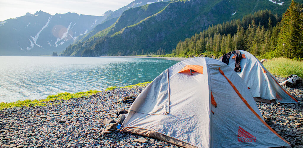 Best Camping Gear for Beginners in 2022