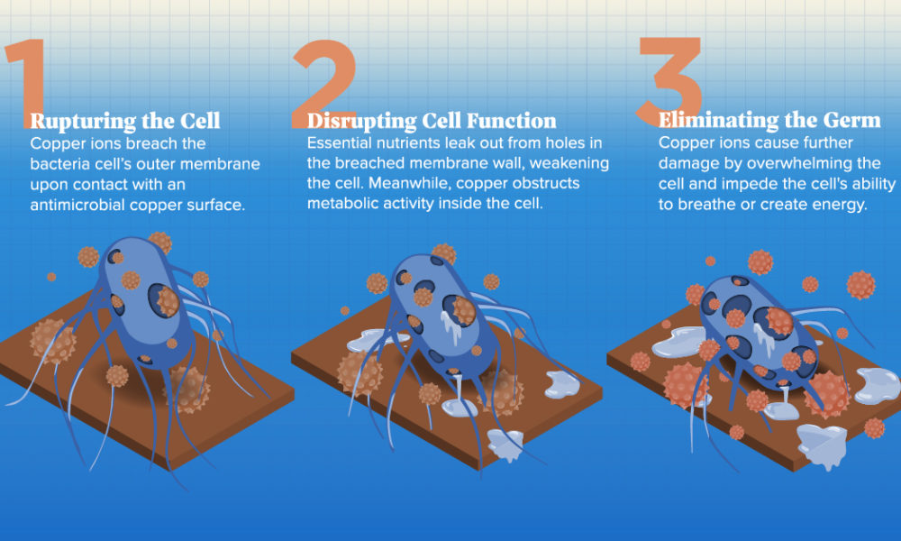 Antimicrobial Copper: The Germ-fighting Metal