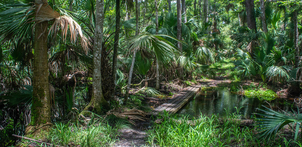 Wekiwa Springs Volksmarch Trail, Florida
