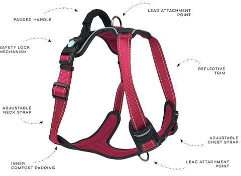 Huskimo ULTIMATE Harness  Adjustable for a perfect fit. Tough but not harsh.