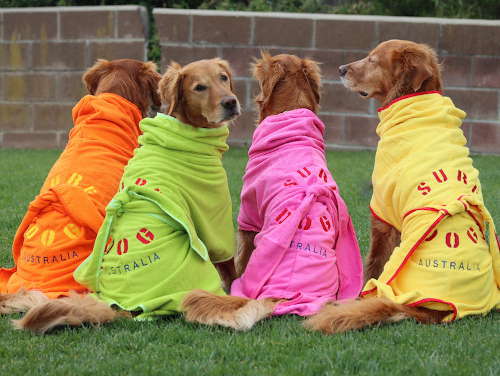 Dog drying coats